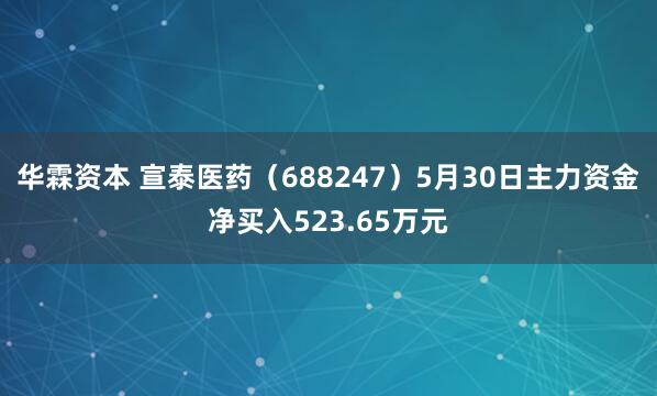 华霖资本 宣泰医药（688247）5月30日主力资金净买入523.65万元