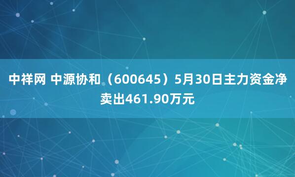 中祥网 中源协和（600645）5月30日主力资金净卖出461.90万元